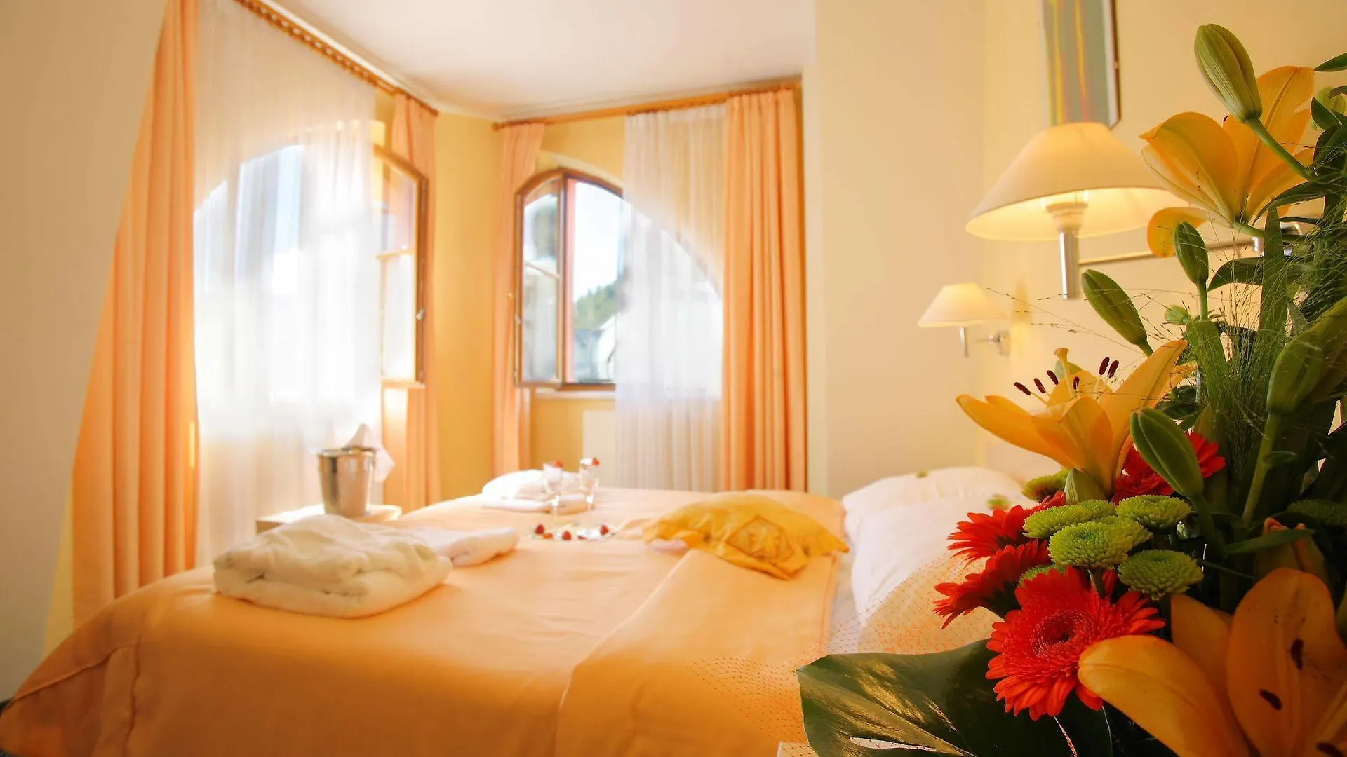 Hotel Ambiente Wellness & Spa Karlovy Vary